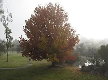 The Vines Motel & Cottages Stanthorpe 4*,  Australia